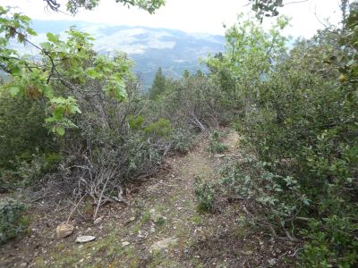 Croisement points verts après Agla