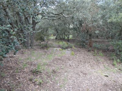 Croisement après Viernis