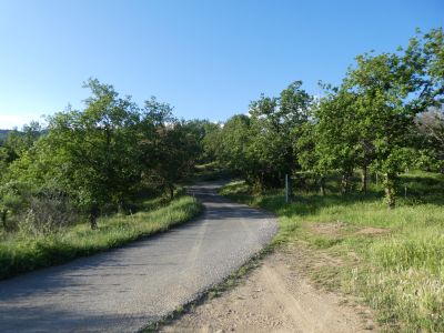 Croisement piste Grecs 2