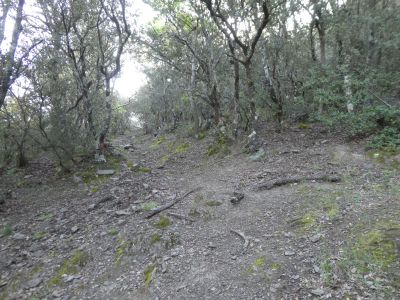Croisement après Seners