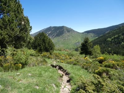 Croisement sentier Allemands