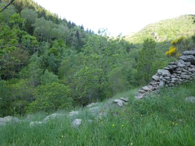Croisement montée Pocaroba