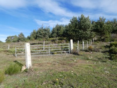 Croisement piste Grill