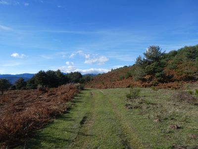 Croisement fin piste Grill