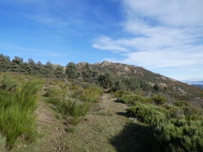 Croisement montée Toulouse