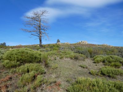 Croisement montée Toulouse 2