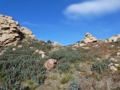 Vue montée Toulouse 2