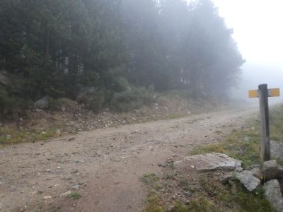 Croisement piste après Cascarols 1