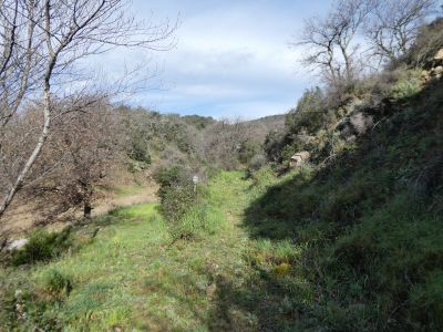Croisement berges Lac 2
