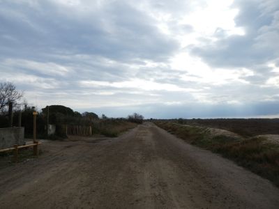 Croisement Militaire 3