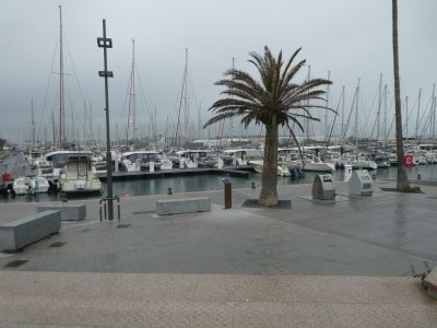 Croisement sentier Capitainerie