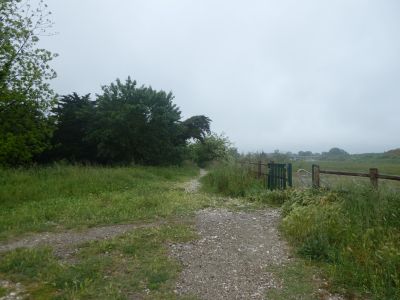 Croisement fin Bombarda