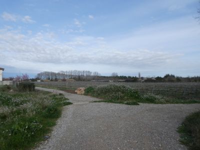 Croisement après Paradis
