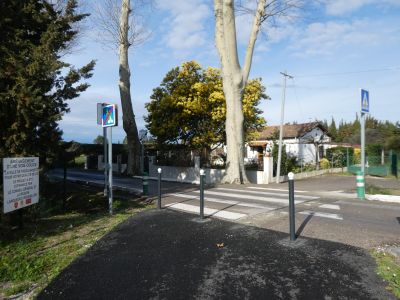 Croisement Podadodora