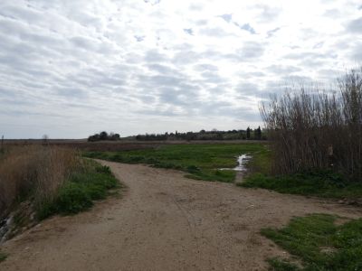Croisement observatoire