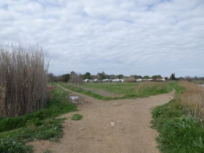 Croisement observatoire 2