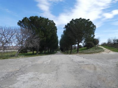 Croisement entrée fort 2