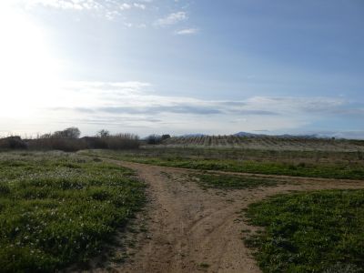 Croisement après gué Réart