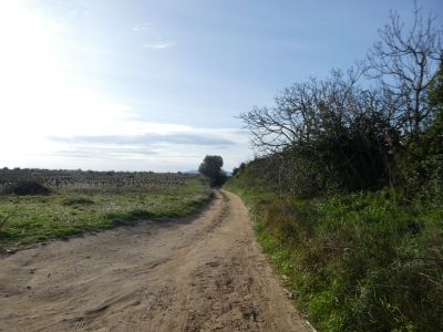 Croisement après gué Réart 2