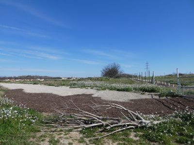 Croisement après fin Vinyer