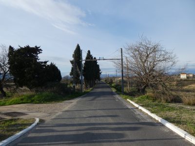 Croisement vignes Villeneuve