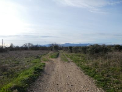 Croisement vignes Villeneuve 2