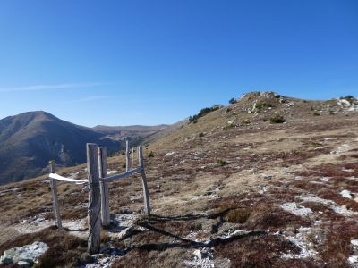 Croisement GRP Garber