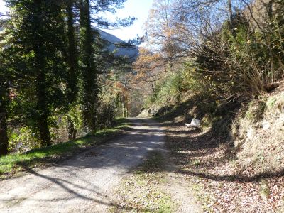 Croisement départ 2