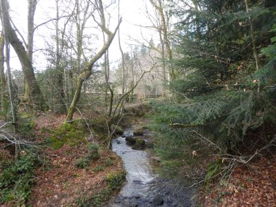 Vue Lignon