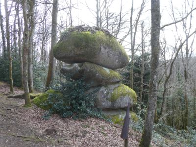 Vue Décalées