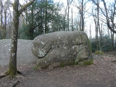 Vue Elephant