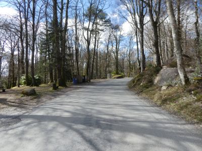 Intersection Safranière