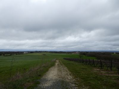Vue Albigeois 2