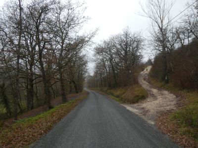 Croisement D25 GR36