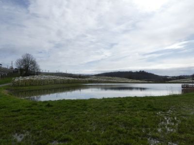 Vue plan eau Favarel