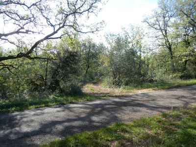 Croisement après Nibousou 2