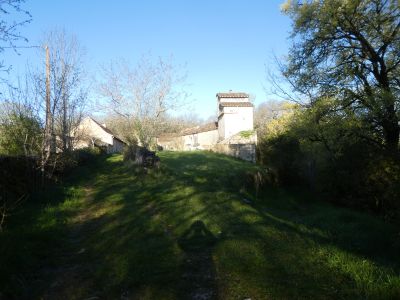 Croisement Fournet