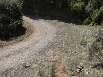 Croisement après Estela 6