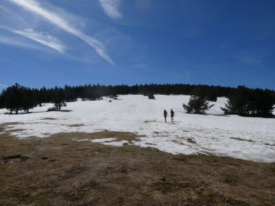 Collada Rasets