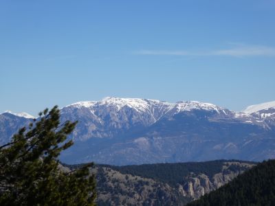 Vue Tosa Alp
