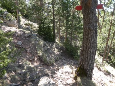 Croisement Auró