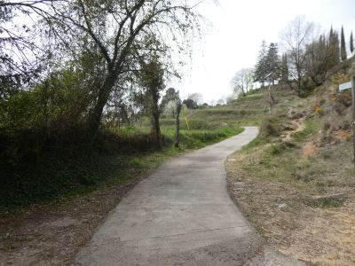Croisement Patzí