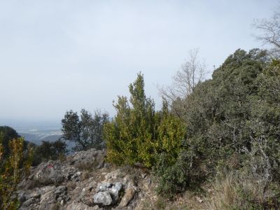 Croisement montée Closa