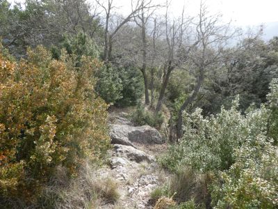 Descente Closa