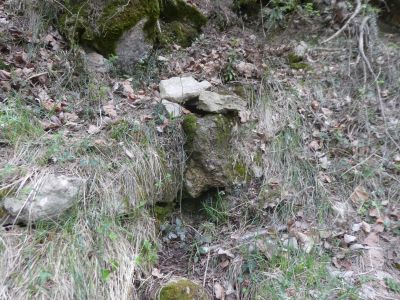 Vue Font Arbre