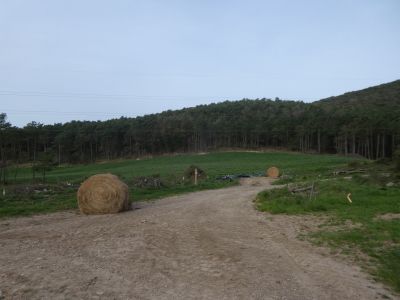 Collada Vinyoles