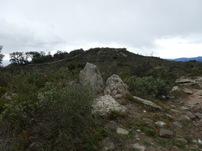 Vue dolmen Bosc Margalla