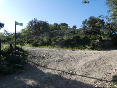 Croisement Tavellera