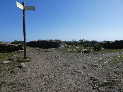 Croisement après Sobre