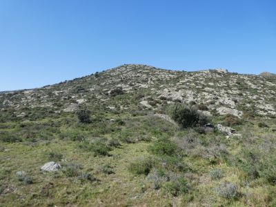 Croisement après Helena